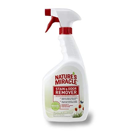 Nature's Miracle Scented Stain and Odor Remover, Tropical Bloom Scent, 1-Gallon