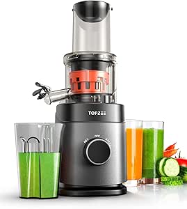 Cold Press Juicer, Detachable Bidirectional Filter Masticating Juicer Machines with 24 oz Juice Cup, 65RPM, Dishwasher Safe, Grey