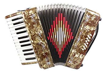 Rossetti 2512 Piano Accordion 12 Bass 25 Keys with Straps and Hard Case (GOLD)