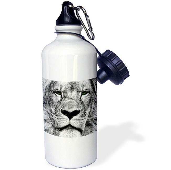 3dRose wb_164743_1 "African Lion Digital Pencil Drawing with Green Eyes" Sports Water Bottle, 21 oz, White