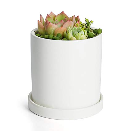 Greenaholics Plant Pots - 4.3 inch Ceramic Matte Surface Cylinder Ceramic Planters for Succulents, Cactus, Flower Planting, with Drainage Hole and Tray, Matte White