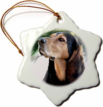 3dRose Black and Tan Coonhound Snowflake Porcelain Ornament, 3-Inch