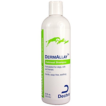 Dechra DermAllay Oatmeal Shampoo for Pets, 12-Ounce