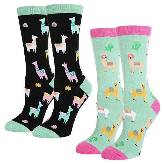 Women's Novelty Crazy Crew Socks Funny Colorful Food Teacher Book Chicken Hen Teeth Otter Animal Socks