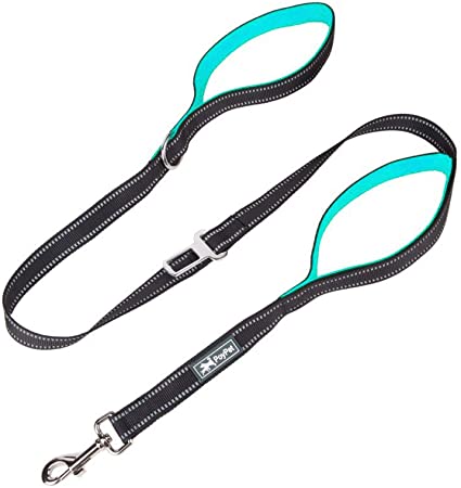 PoyPet 5 Feet Dog Leash - Reflective - 2 Cushioned Handles - Functional Car Seat Belt