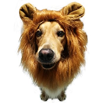MEWTOGO Lion Mane Wig Funny Cat Kitty Little Puppy Costume - Adorable Pet Turned Hat
