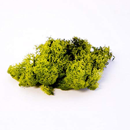 Finland Moss Olive Green 500g bag Smithers Oasis