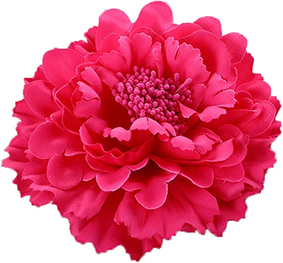HC-01 Floral Fall Rose Flower Hair Clip Flamenco Dancer Pin up Flower Brooch