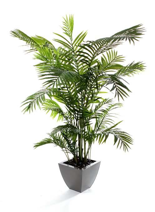 Closer to Nature Artificial 6ft 6" Areca Palm Tree - Artificial Silk Plant and Tree Range