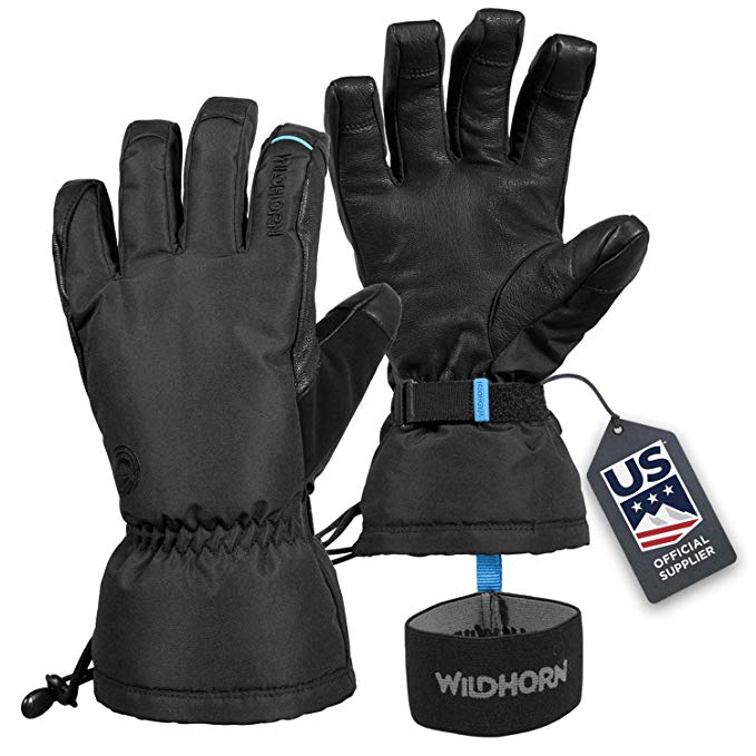 Wildhorn Tolcat Unisex Waterproof Leather Ski Gloves- Touchscreen Compatible