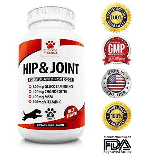 Advanced Hip And Joint Support - Glucosamine Chondroitin MSM For Dogs – Chewable Food Supplement With Vitamins C & E – Pain Relief Medicine Treats For Arthritis & Dysplasia – Beef Flavor Tablets