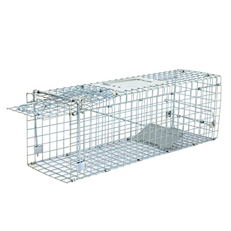 ZENY Live Animal Cage Trap 24" Steel Cage Catch Release Humane Rodent Cage for Rabbits, Stray Cat, Squirrel, Raccoon, Mole, Gopher, Chicken, Opossum, Skunk & Chipmunks