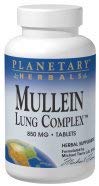 Planetary Herbals Mullein Lung Complex 90 Tablets