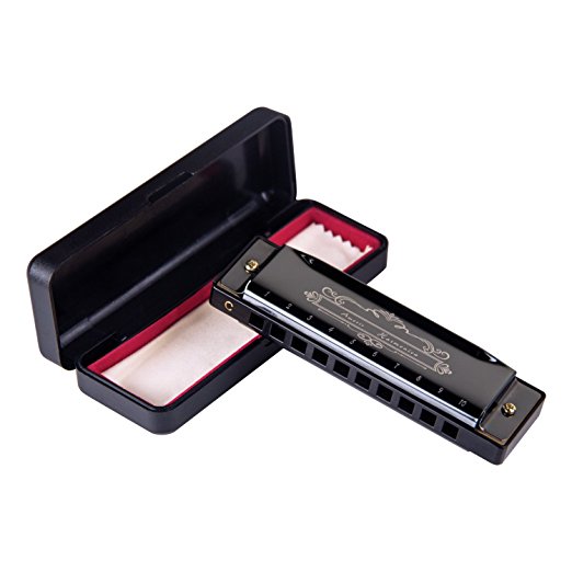 Amosic Blues Harmonica 10 Holes 20 Tones, Diatonic Harmonica Stainless Steel with Case, Key of C, Suitable for Beginners, Professional Players