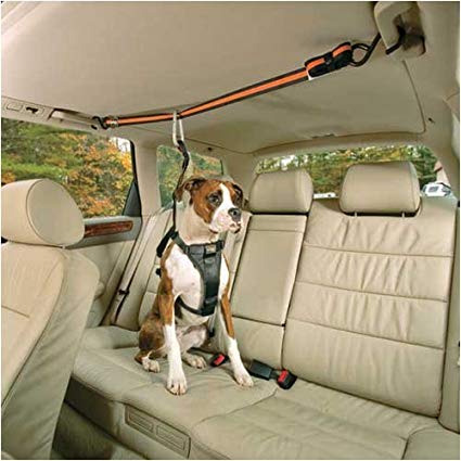 Kurgo Automobile Zip-Line for Dogs