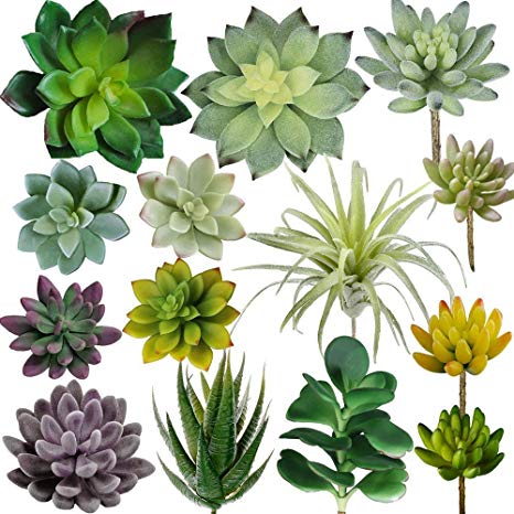 Supla 14 PCS Fake Succulents Plants Unpotted Artificial Succulent Plants Faux Succulents Fake Mini Aloe Echeveria Agave Kalanchoe Succulents Plants Tillandsia Air Plant Stems for Floral Arrangement