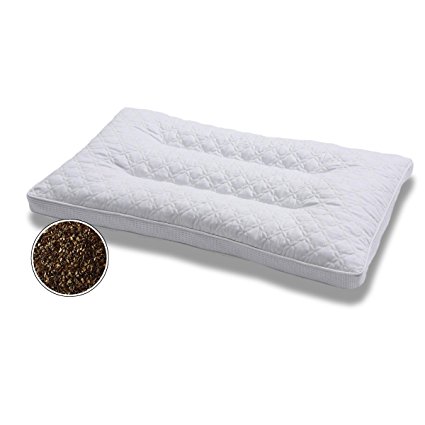 Qbedding Organic Buckwheat Hull Pillow w/Cotton Pillowcase (26" x 15") (White)