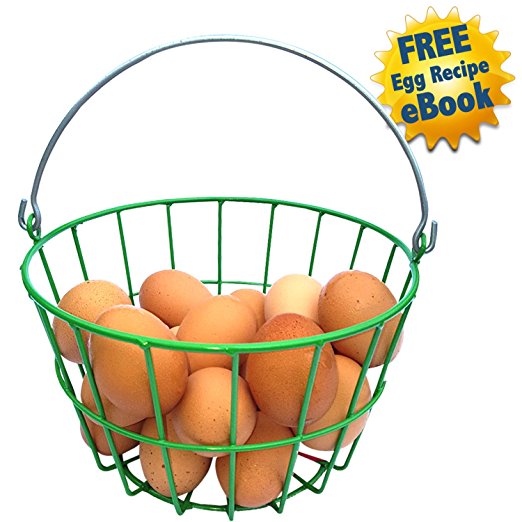 PRESTO FARMS Egg Wire Basket for Collecting, Washing and Drying Eggs, Fruits, Vegetables and House, Garden and Farm Items!