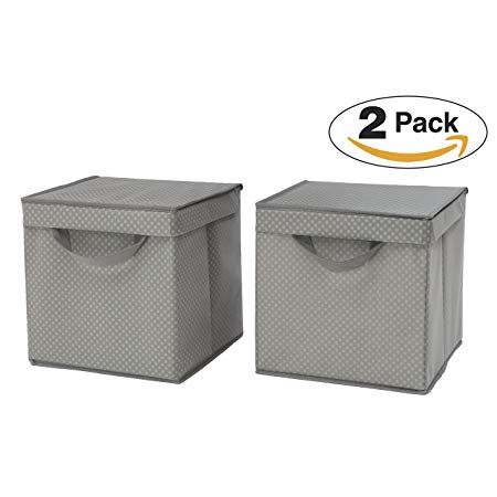 Delta Children 2 Piece Lidded Storage Bins, Dove Grey