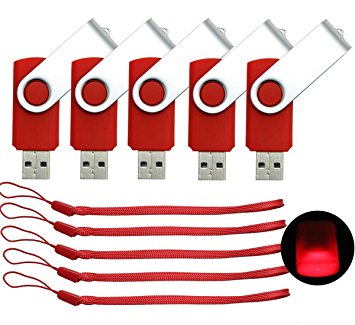 CaseBuy Bulk 8GB 8G USB Flash Drive Stick with 5pcs Lanyards (8G,Red)