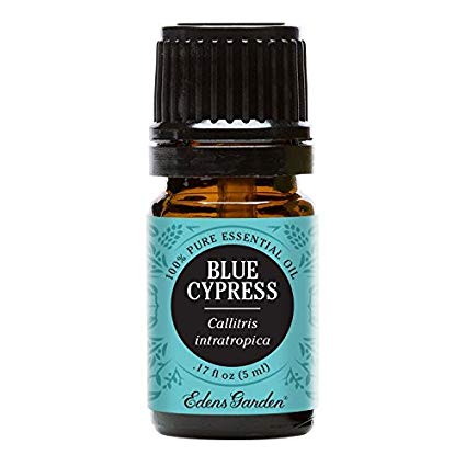 Edens Garden Blue Cypress Essential Oil, 100% Pure Therapeutic Grade (Highest Quality Aromatherapy Oils- Great For Anti-Inflamatory Purposes & Beauty Routine), 5 ml