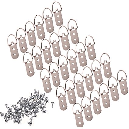 BCP 30pcs D-ring Heavy Duty Hanging Picture Hangers Frame Hanging with Screws (Double Hole Type 2)