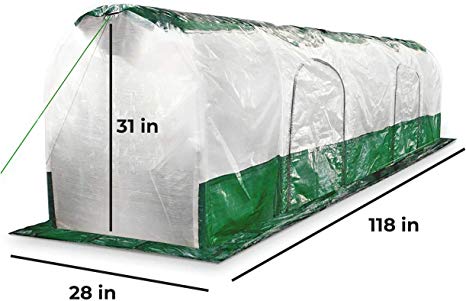 Bio Green SD300 Superdome Growtunnel, Garden Cl Length 9.8 x Width 2.3 ft, 2.6 x 2.3X 9.8', Transparent/Green