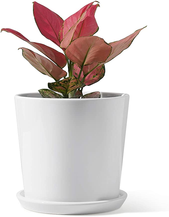 POTEY 056210 Ceramic Planter Pots - 6.7 Inch Minimalist Modern Home Decoration Glazed Ceramic Planters Indoor Plants Bonsai Container with Drainage Hole for Flower Plants (Plants NOT Included)