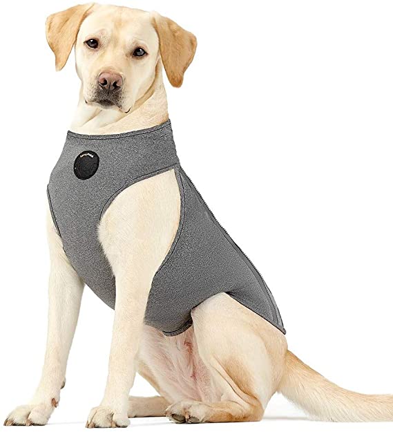 NeoAlly Dog Thunder Jacket Anxiety Calming Vest with Most Torso Coverage Including Chest for Best Calming Effect, 3-Level Adjustable Compression Thunder Shirt for Dogs and Cats (Large)