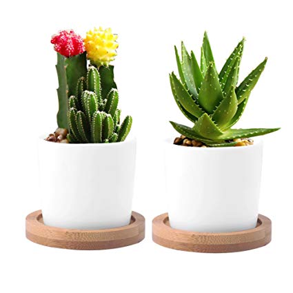 WITUSE Ceramic Round Succulent Plant Pot/Office Flower pots/Catus pots with Wooden Saucers- 2 Sets