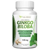 PuraWise Ginkgo Biloba Extract 120mg - 90 Capsules - Standardized Supplement to Boost Physical and Mental Energy