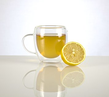 VizCása 8 Ounce Double-Wall Insulated Glass Coffee & Tea Mug Cups (Individual Cups)