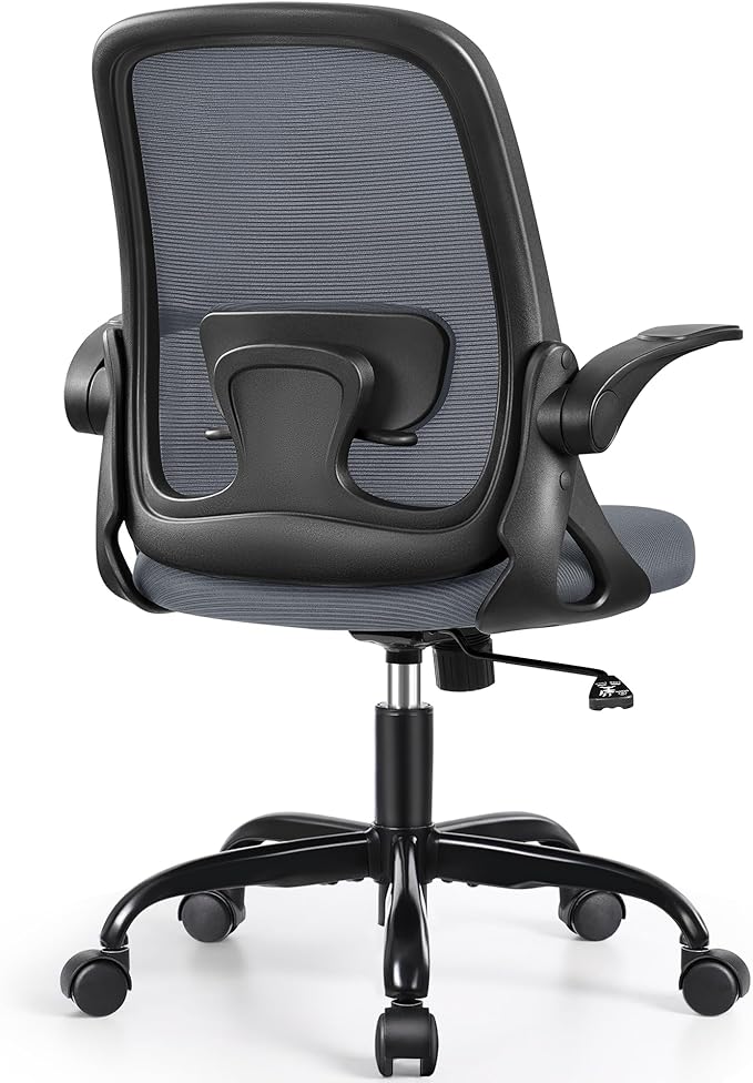 Winrise Office Chair Ergonomic Desk Chairs with Lumbar Support and Flip-up Arms, Comfortable Breathable Mesh Computer Executive Chair with Swivel Task, Adjustable Height 4'', Home, Bedroom - Dark Gray