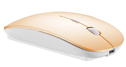 LOVRI Slim Wireless Mouse 2.4G Rechargeable and Portable Mouse for Notebook, Pc, MAC, Laptop, Computer (Gold)