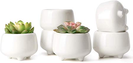 Mkono 3.35 Inch White Ceramic Succulent Pots Cute Cactus Planter with Legs Small Flower Plant Containers Home Decor for Indoor Use Gift Idea, Set of 6