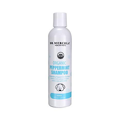 Dr. Mercola Organic Peppermint Shampoo for Dogs -- 8 fl oz