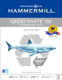 Hammermill Great White 100 Recycled Copy Paper 20lb 8 12 x 11 92 Bright 500 Sheets1 Ream 086790