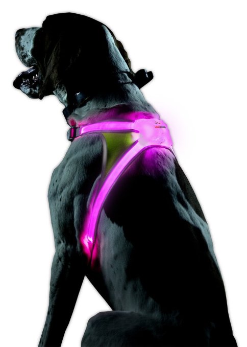Noxgear LightHound - Revolutionary Illuminated and Reflective Vest for Dogs Including Multicolored LED Fiber Optics (USB Rechargeable, Adjustable, Lightweight, Rainproof)