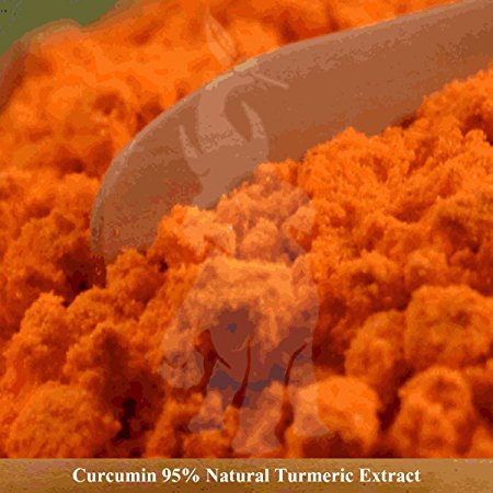 Turmeric Curcumin 95% Curcuminoids - Natural Turmeric Extract Powder, Anti-Inflammatory Supplement with 95% Standardized Curcuminoids (100 Grams)