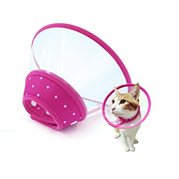 Recovery Collar Cone for Dogs and Cats Clear Padded E-Collar with Breathable Soft Edge by IN HAND