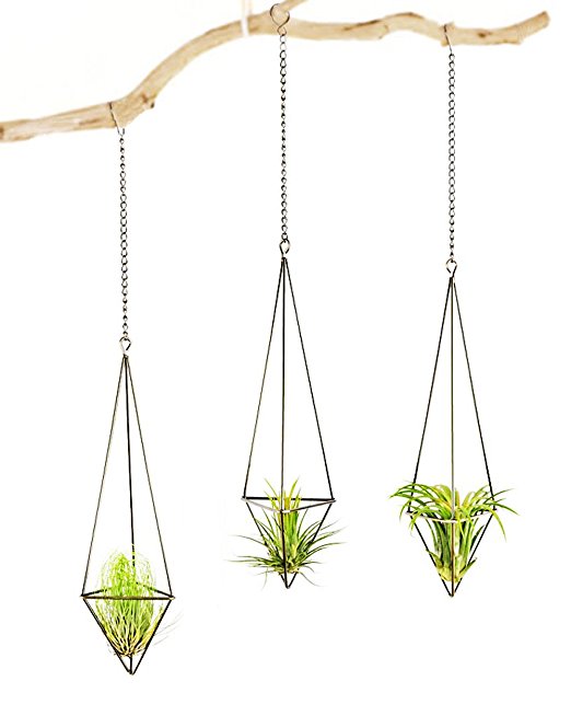 Mkono 3 Pack Hanging Air Plant Holder Himmeli for Tillandsia Airplants Display (with Chains), Bronze