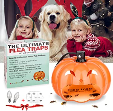 Flea Trap,Fly Traps for Indoors Sticky Dome Bed Bug Trap Insects,Bug Catcher Natural Insect Killer Pad and Light Bulbs for Bugs Fleas with Pumpkin Shape, Non-Toxic Odorless Safe for Kids/ Pets