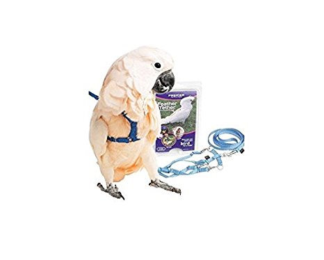 Premier Feather Tether Bird Harness and Leash