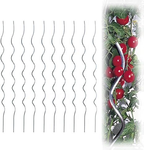 MTB Plant Supports Spiral Tomato Cages Aluminium 59 inch Height/Dia 6mm, Pack of 10, Climbing Plant Stake Tower