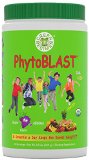 Green Regimen - PhytoBLAST Cool Kids Grape Flavor - Delicious Multivitamin Smoothie infused with Omega 3 - SuperFood contains 20 Fruits and Vegetables per serving - Includes wonderful Recipe Book