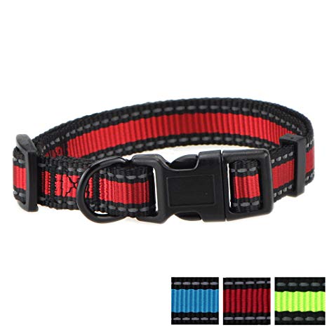 Mile High Life Dog Collar | Reflective 3M Stripe with Nylon Band | RED Blue Green