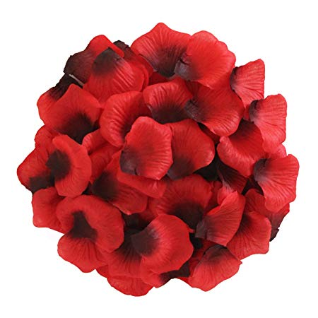 JUYO VONSAN 1000pc Silk Rose Petals Wedding Flowers Favors for you special wedding (red & black)