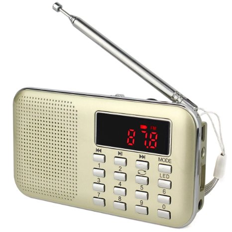 VITE L-218 Portable AM/FM Radio with Mp3 Music Player Speaker Support Micro IF Card (Gold)