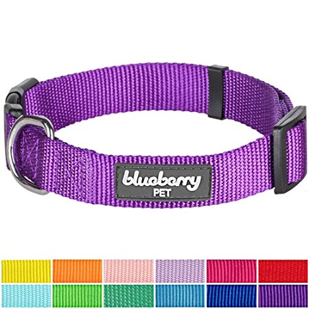 Blueberry Pet Solid Color Collar Collection, 12 Colors Classic Nylon Dog Collars, Martingale Collars & Seat Belts, 17 Colors Personalized Collars, Matching Leash Harness Available Separately