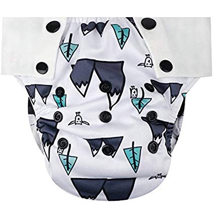 HappyEndings Toddler/Kid Pull On Reusable Cloth Diapers/Training Pants (Medium, (Fits 35-50lbs), Mountains)